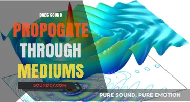 How Sound Waves Travel: Exploring Propagation Through Different Mediums