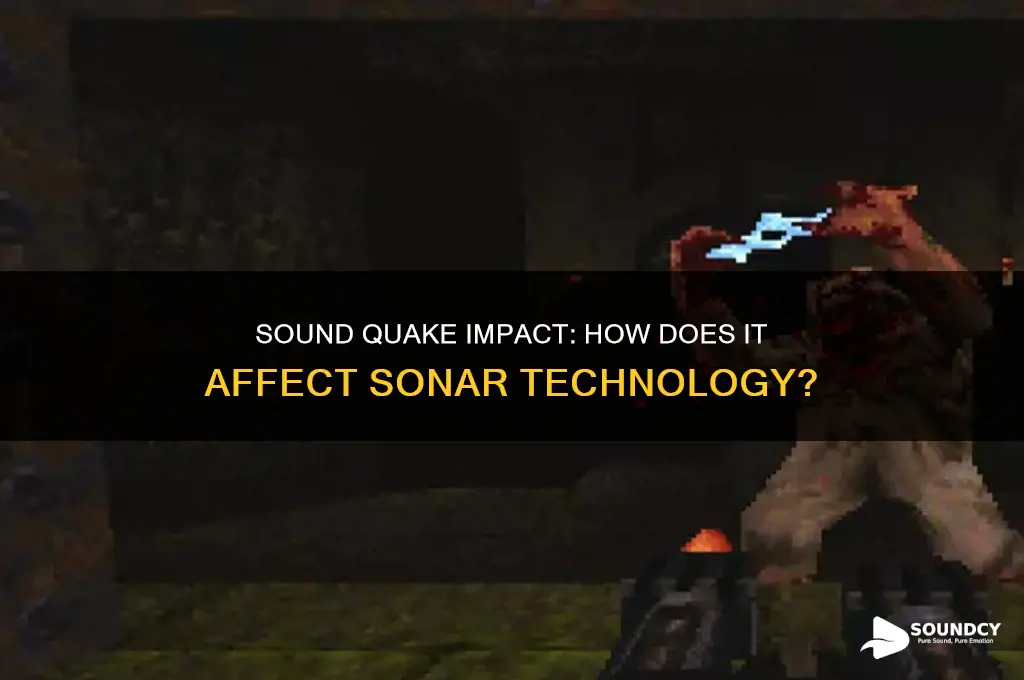 does sound quake hit sonar