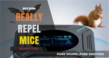 Can Sound Repel Mice? Uncovering the Truth Behind the Myth
