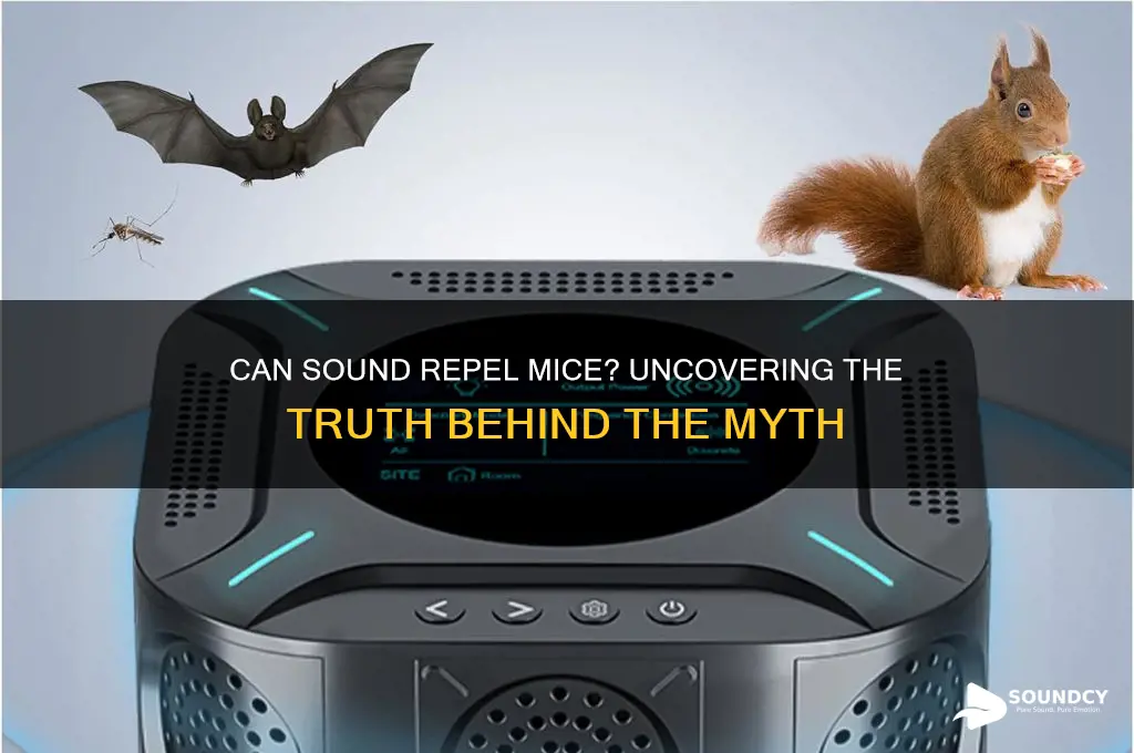 does sound really repel mice