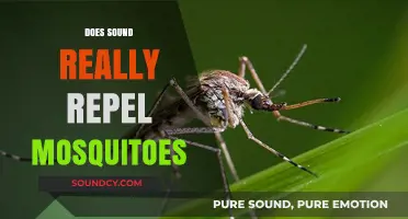 Can Sound Waves Keep Mosquitoes Away? Debunking the Myth