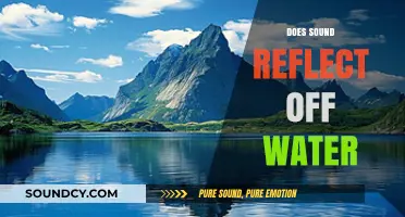 Does Sound Reflect Off Water? Exploring Aquatic Acoustics and Echoes