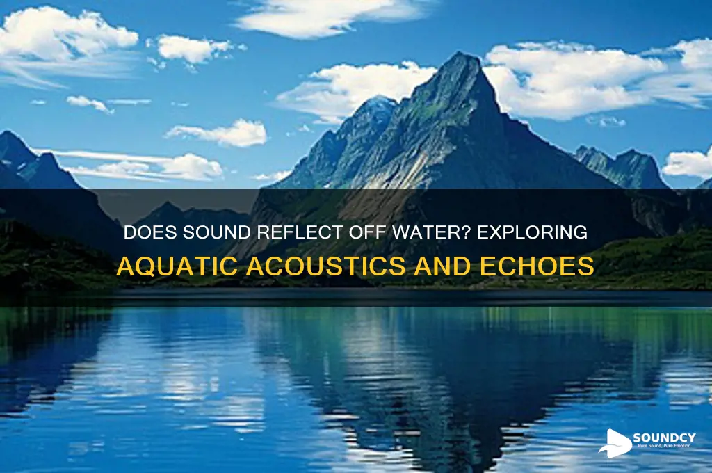 does sound reflect off water