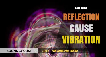 Sound Reflection and Vibration: Unraveling the Connection Between Echoes and Motion