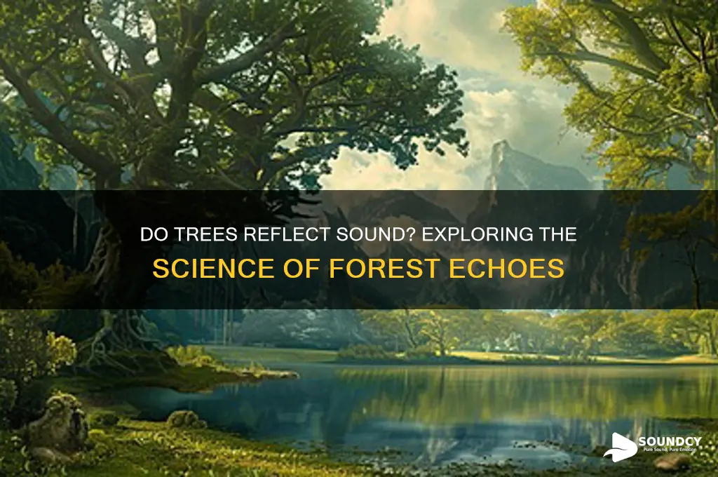 does sound ricochet off trees