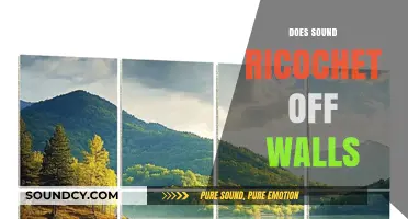 Does Sound Ricochet Off Walls? Exploring Acoustic Reflections and Echoes
