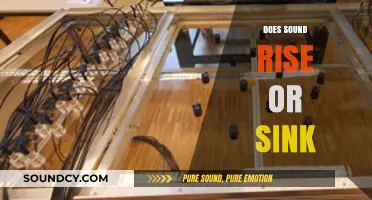 Sound's Vertical Journey: Does It Rise, Sink, or Stay Neutral?