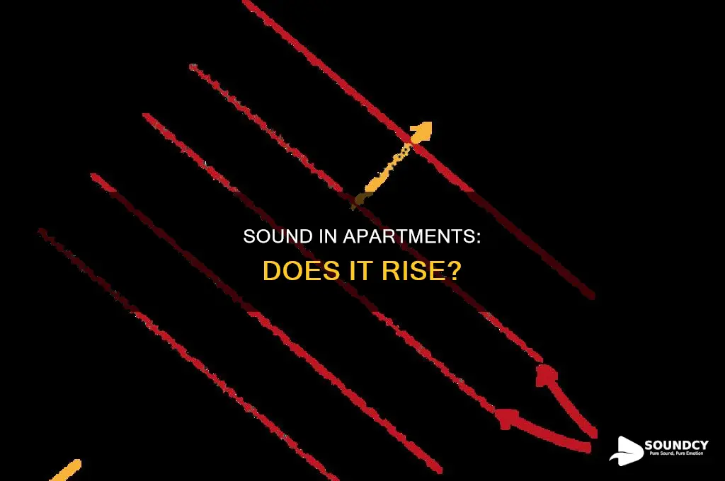 does sound rise up in apartments