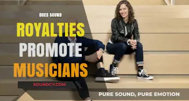 Sound Royalties: Empowering Musicians or Exploiting Their Craft?