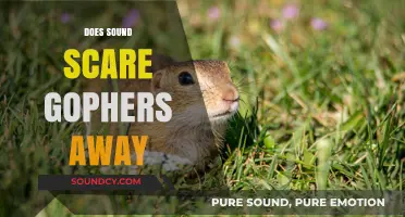 Can Noise Deter Gophers? Exploring Sound as a Pest Control Method