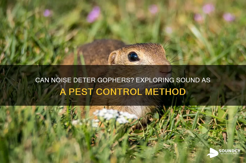 does sound scare gophers away