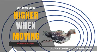 How Movement Affects Sound Perception