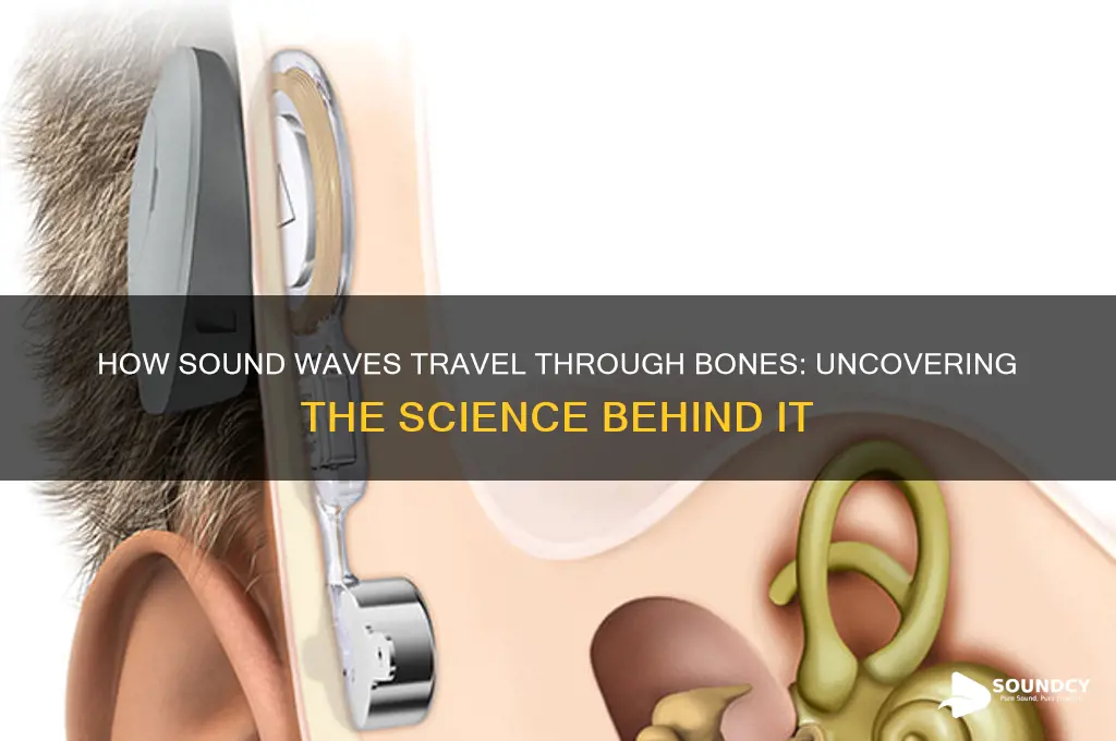 does sound transmit through bone