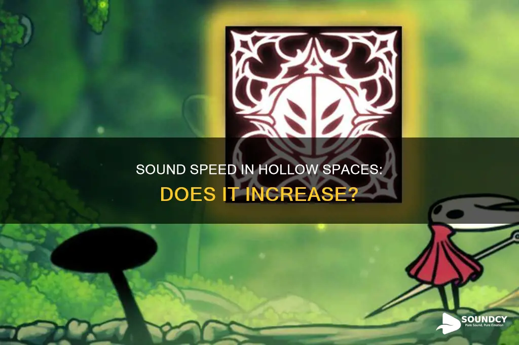 does sound travel faster in hollow
