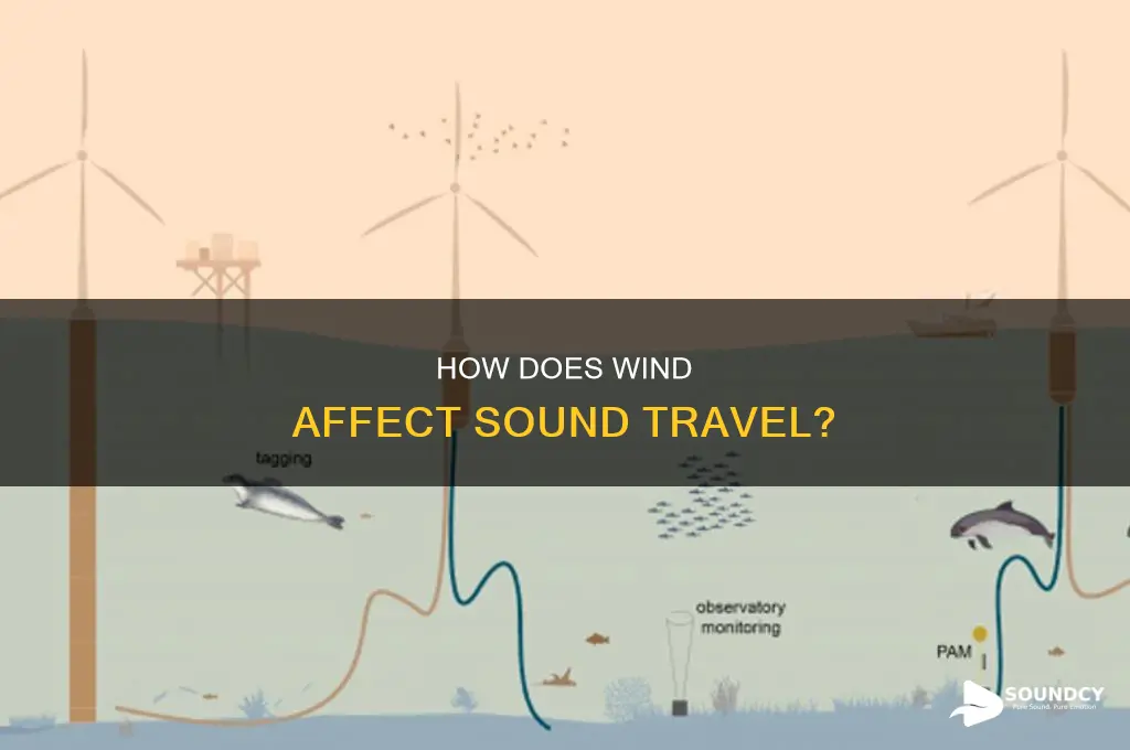does sound travel faster in wind