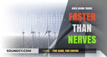 Sound vs Nerves: Who Wins the Speed Race?