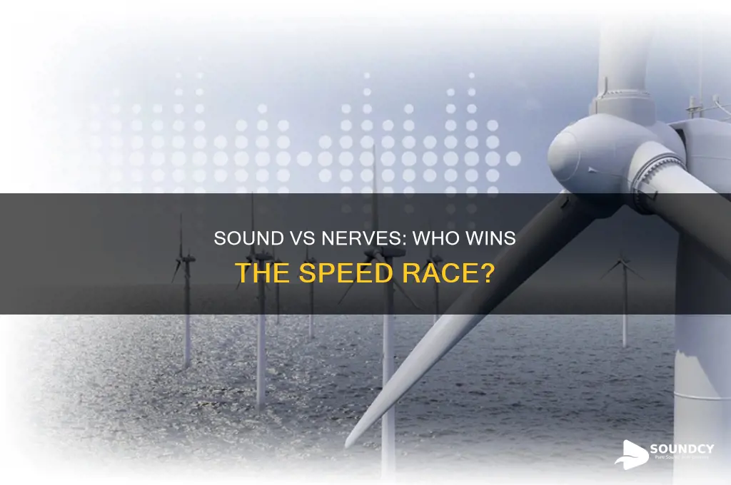 does sound travel faster than nerves