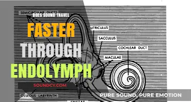 Sound Speed: Endolymph's Role