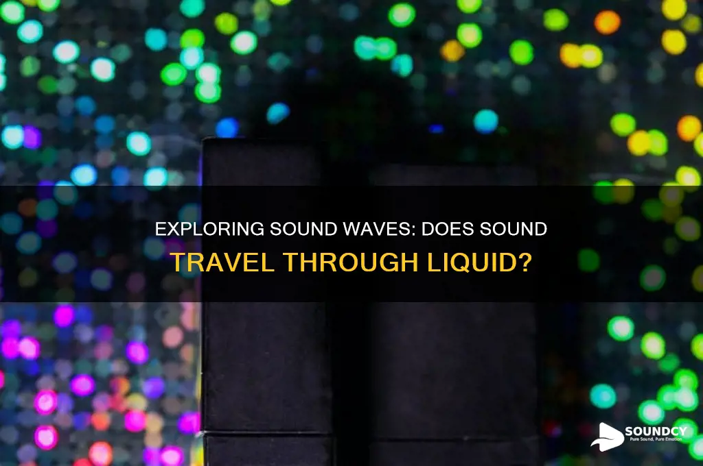 does sound travel in liquid
