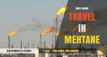 Does Sound Travel in Methane? Exploring Acoustic Behavior in Gas Environments