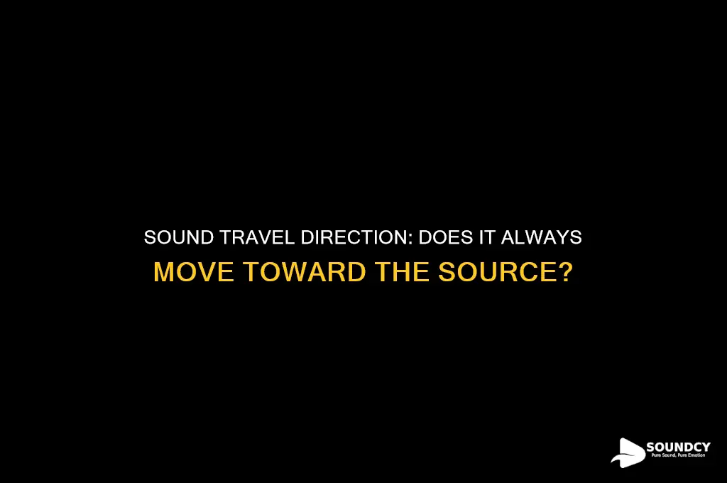 does sound travel in the direction of the source