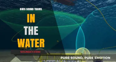 Sound in Water: How Does it Travel?