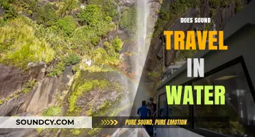 Does Sound Travel in Water? Exploring Aquatic Acoustics and Science