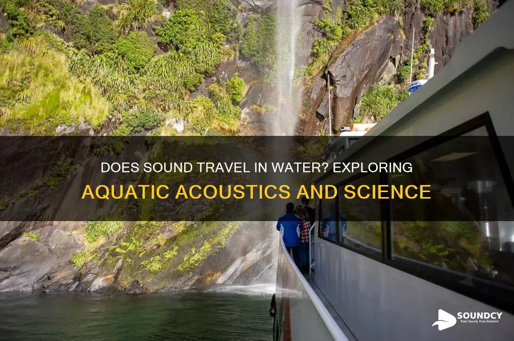 does sound travel in water