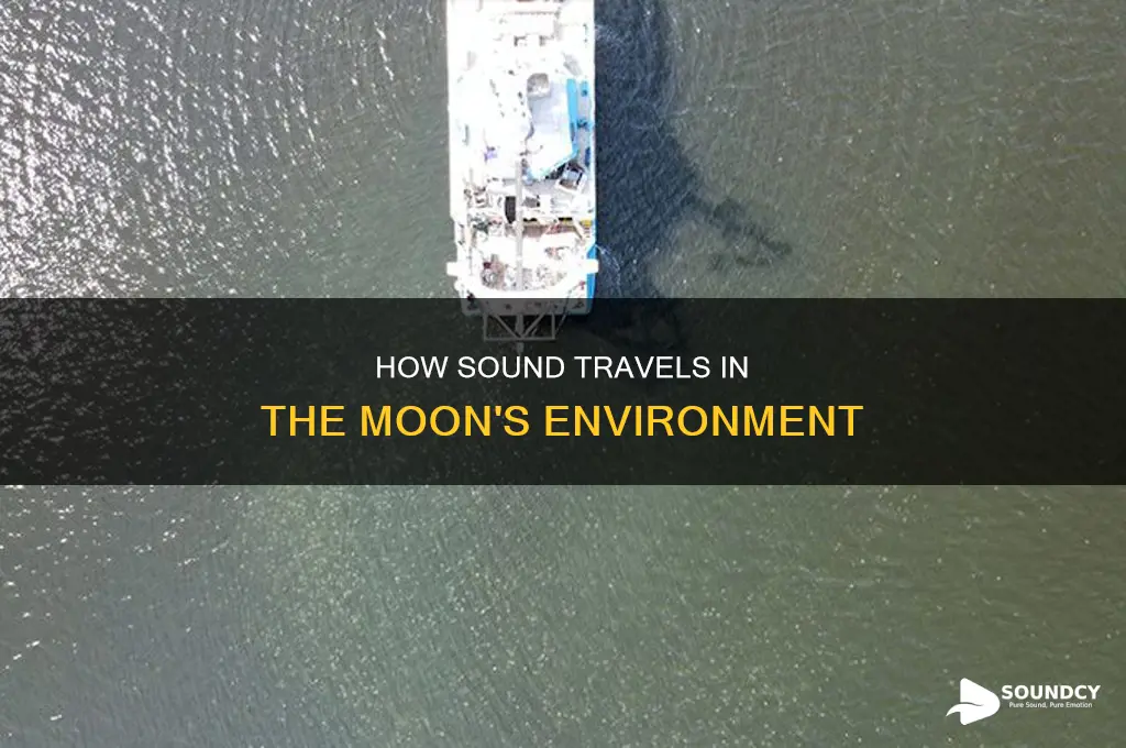 does sound travel on the moon