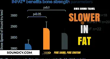 Sound in Fat: Slower Travel?