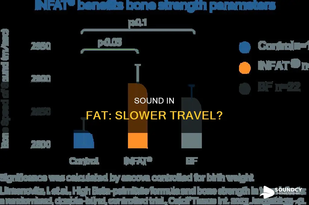 does sound travel slower in fat