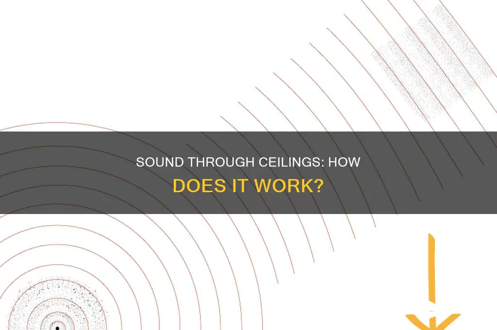 does sound travel through the cieling