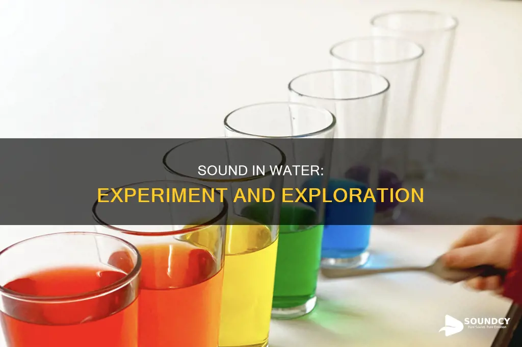 does sound travel through water experiment