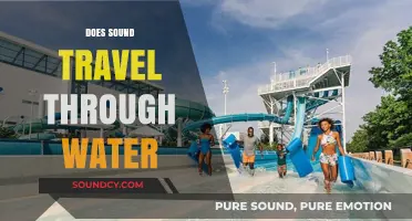 Does Sound Travel Through Water? Exploring Aquatic Acoustics and Science