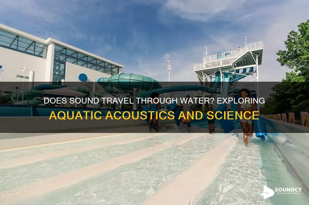 does sound travel through water