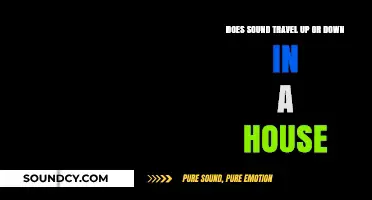 Sound Direction in Homes: Does It Travel Up or Down?