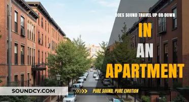 Sound Travel in Apartments: Up, Down, or Sideways?