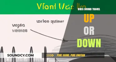 Sound's Directional Dilemma: Up or Down?
