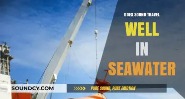 Sound in the Sea: Travel Far?
