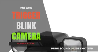 Can Sound Activate Blink Cameras? Exploring Triggers and Motion Detection