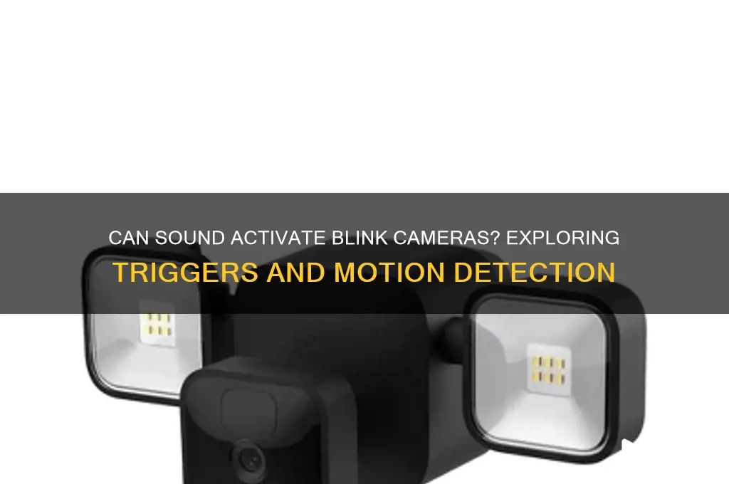 does sound trigger blink camera