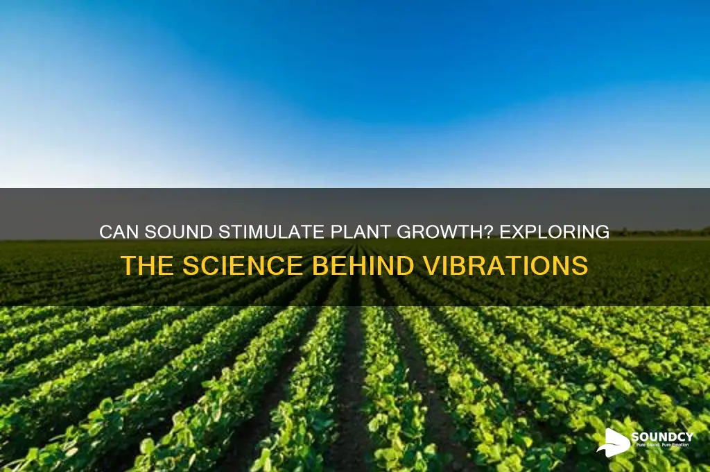 does sound wake up plants