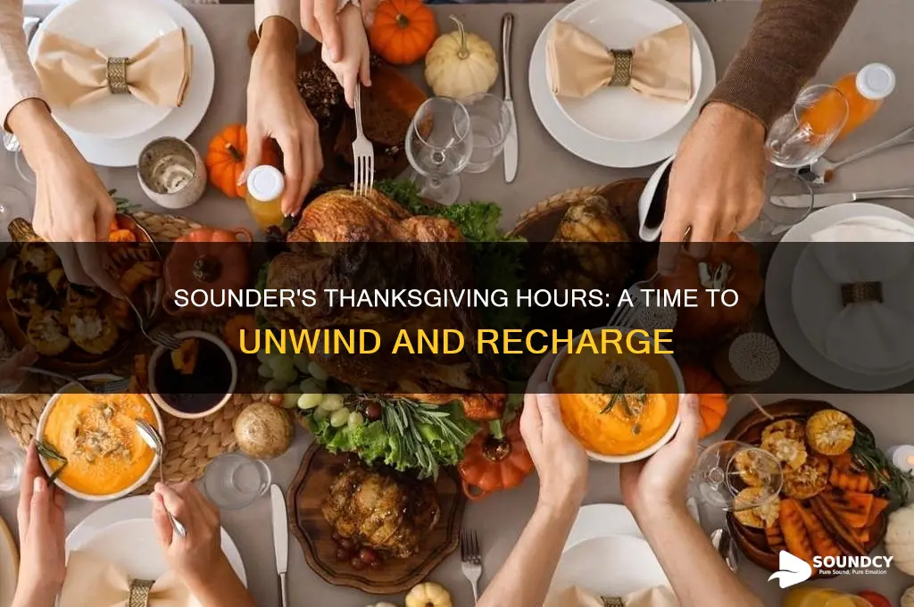 does sounder have thanksgiving holiday hours