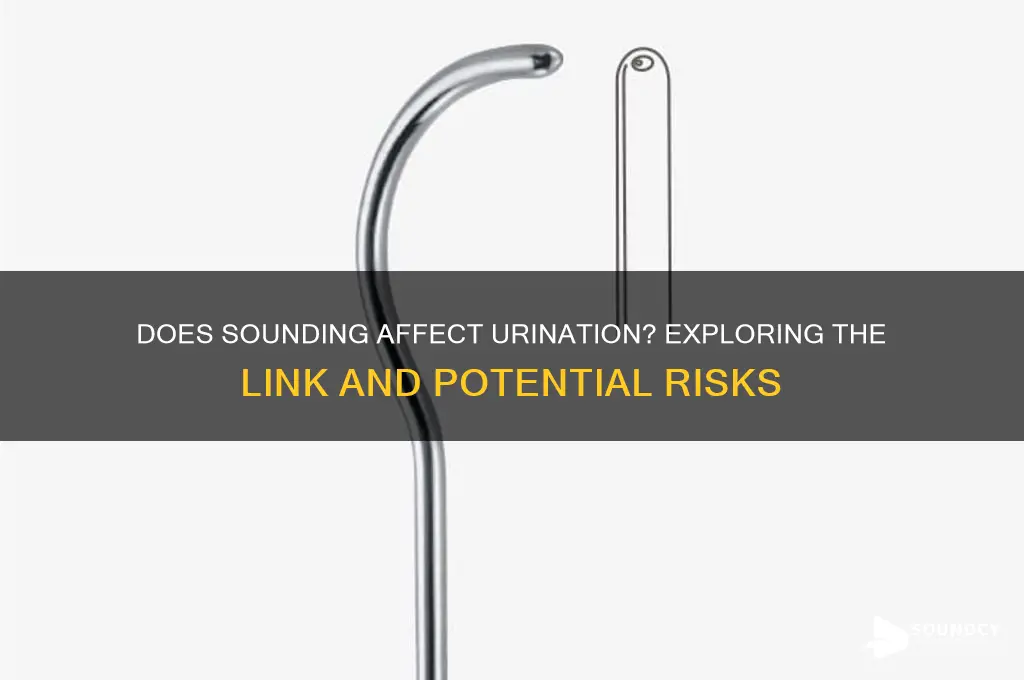 does sounding make you pee