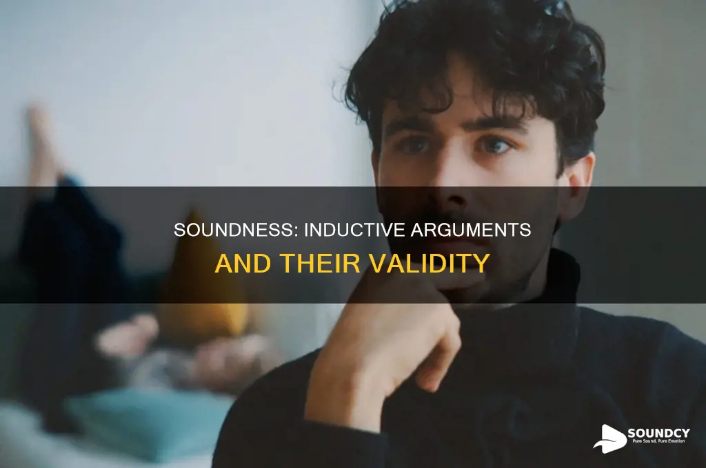 does soundness apply to inductive arguments