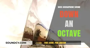 Sousaphone Sounds: An Octave Down?