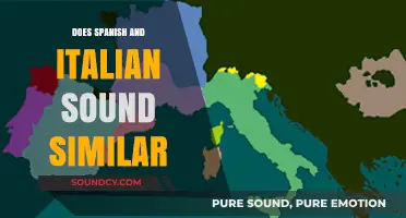 Spanish and Italian: Similar Sounds, Different Languages