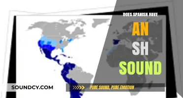 How to Pronounce the 'Sh' Sound in Spanish