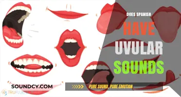 Exploring Spanish Phonetics: Are Uvular Sounds Present in the Language?