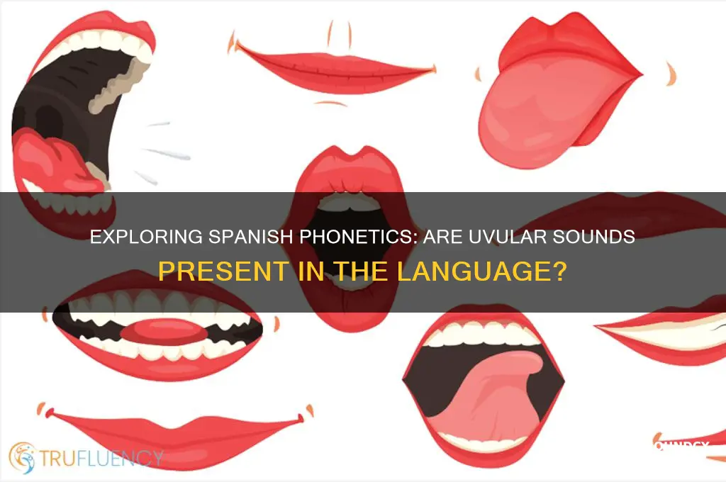 does spanish have uvular sounds
